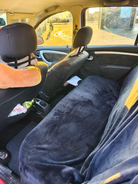 Dacia Sandero 2009 - 9