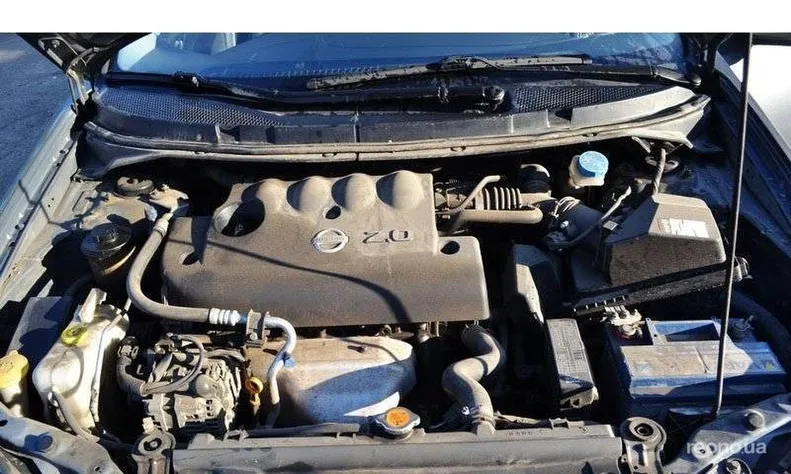 Nissan Primera 2004 - 17