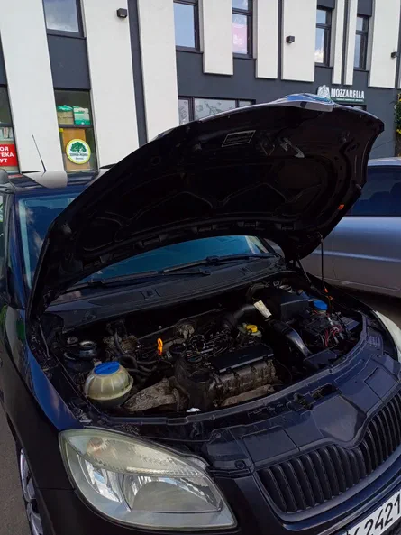 Skoda Fabia 2009 - 7