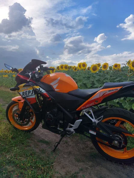 VIPER Спортбайк V250CR 2014 - 5