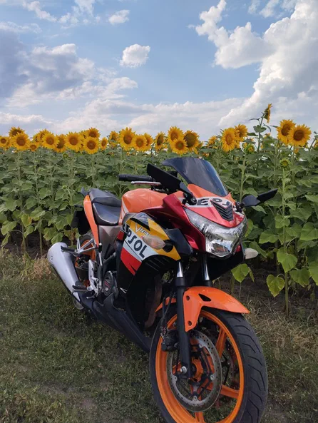 VIPER Спортбайк V250CR 2014 - 12