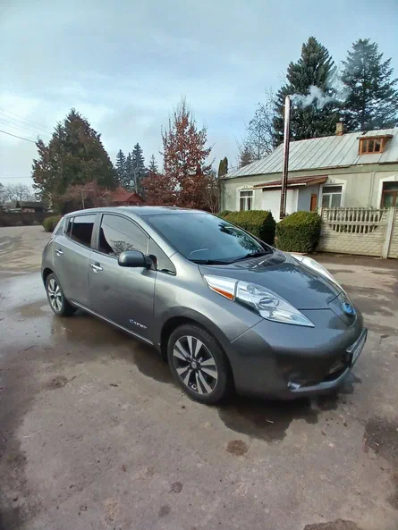 Nissan Leaf 2014