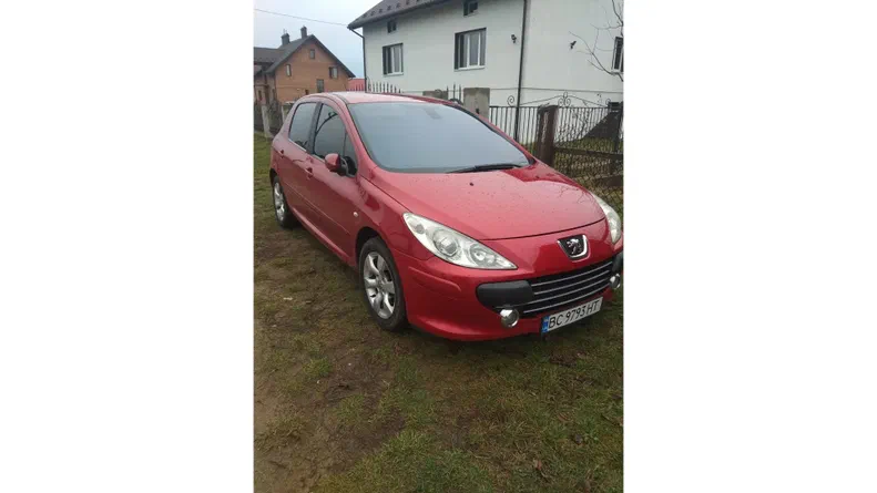 Peugeot 307 2007 - 6