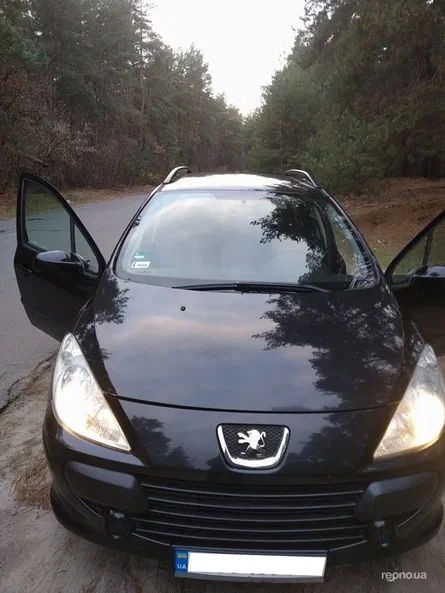 Peugeot 307 2006 - 13