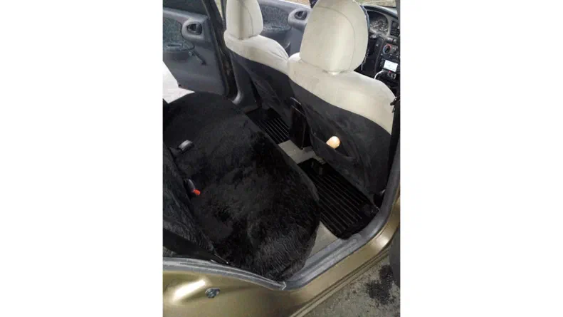 Daewoo Lanos 2002 - 5