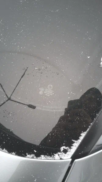 BMW 5 серія 2004 - 6