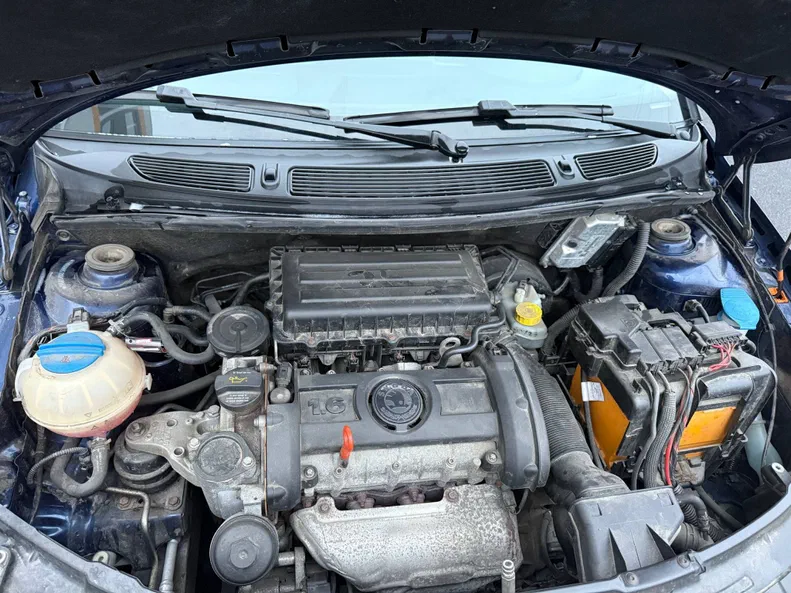 Skoda Fabia 2009 - 10