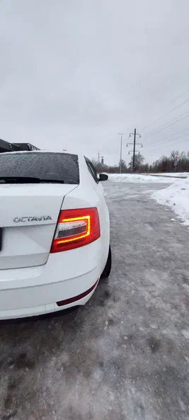 Skoda Octavia 2019 - 5