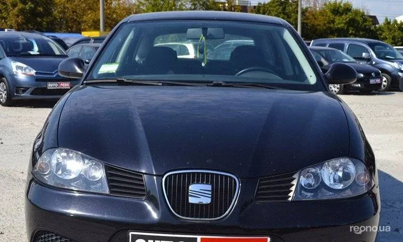SEAT Ibiza 2009 - 19