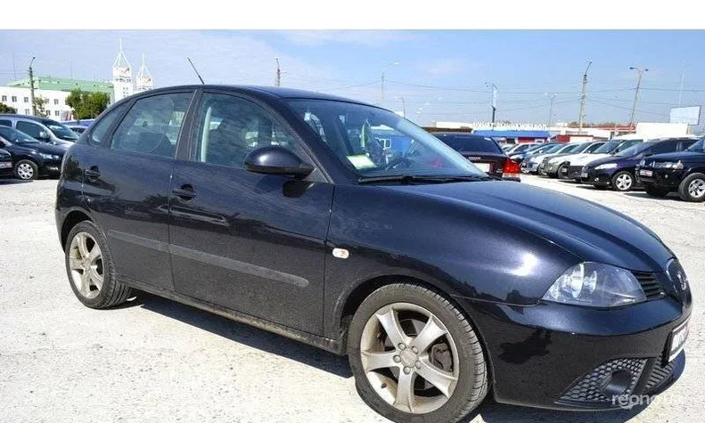 SEAT Ibiza 2009 - 12