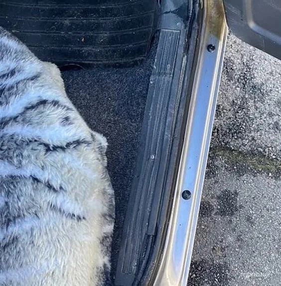 Lada (ВАЗ) 2109 1991 - 7