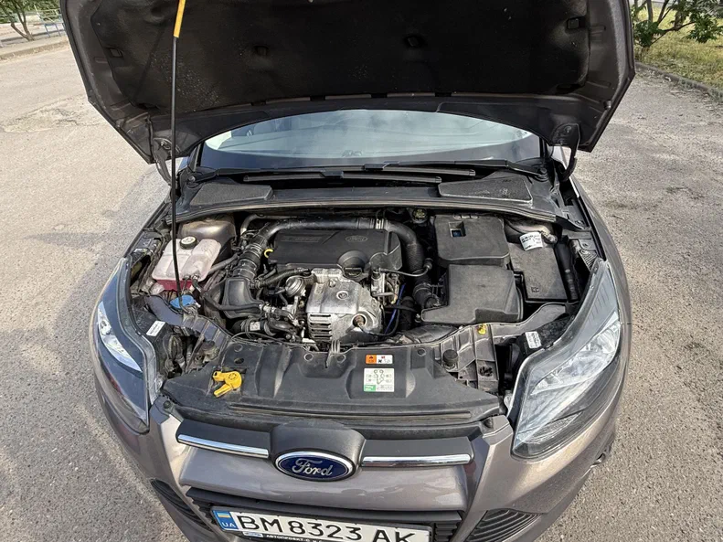 Ford Focus 2013 - 1