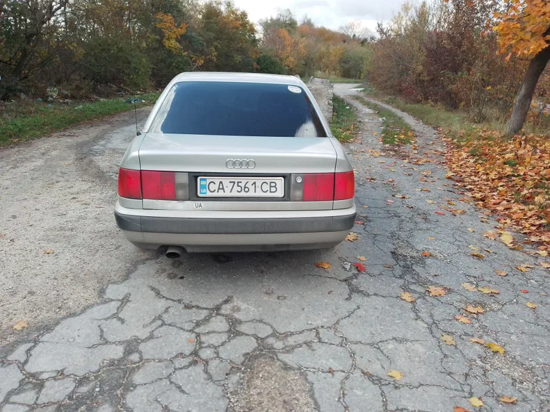Audi 100 1992 - 5