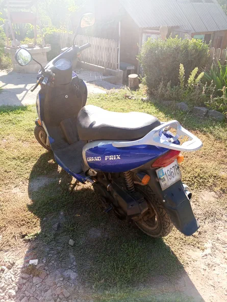 VIPER GRAND PRIX 50 49,9 см3 2008