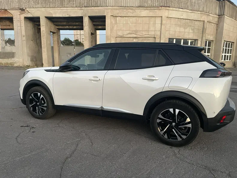 Peugeot 2008 2020 - 15