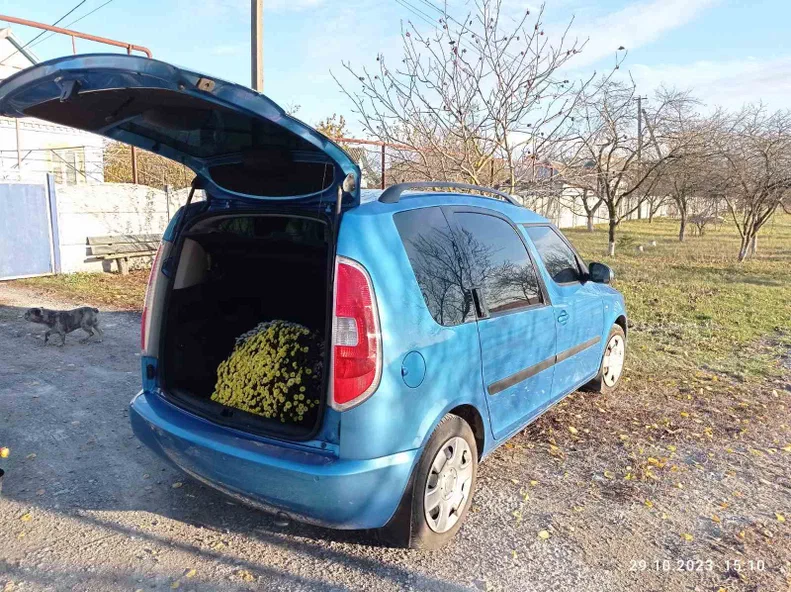 Skoda Roomster 2008 - 8