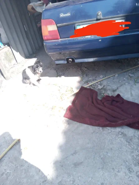 ЗАЗ 1103 «Славута» 2007 - 6