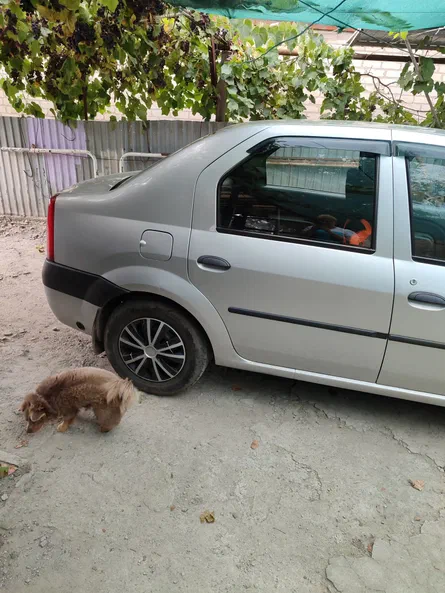 Dacia Logan 2008 - 12