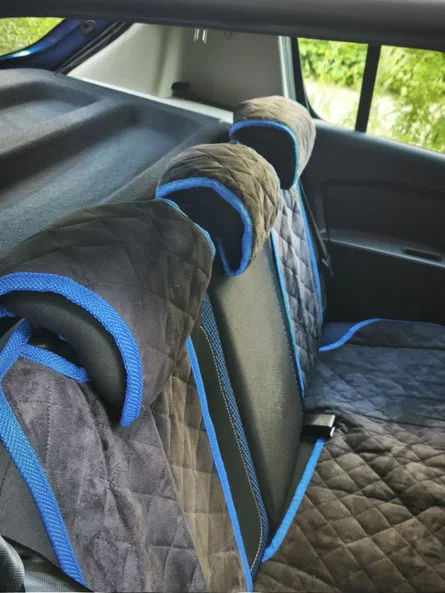 Renault Sandero 2020 - 21