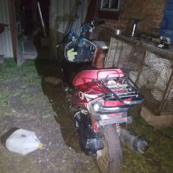 VIPER WIND / 49,9 см3 / 2008