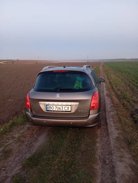 Peugeot 308 2008 - 10