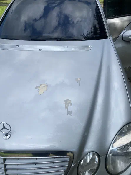 Mercedes-Benz E-Клас 2002 - 5