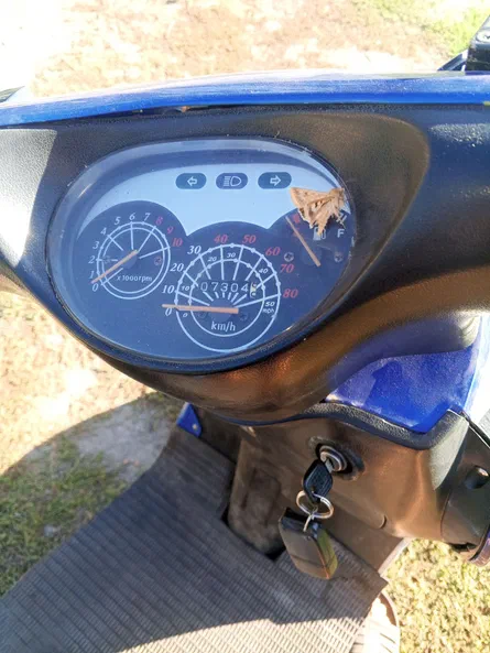 VIPER GRAND PRIX 50 49,9 см3 2008 - 7