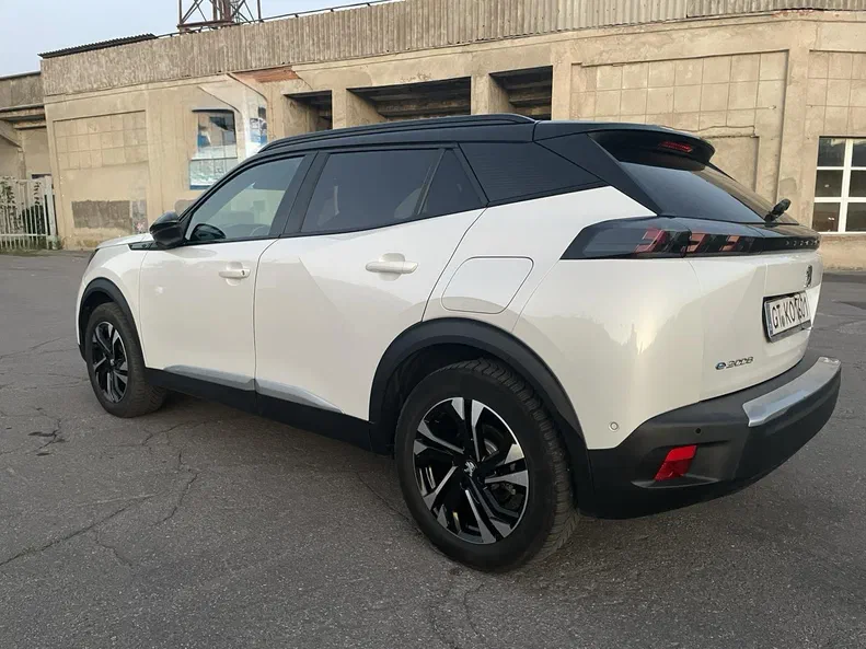 Peugeot 2008 2020 - 13