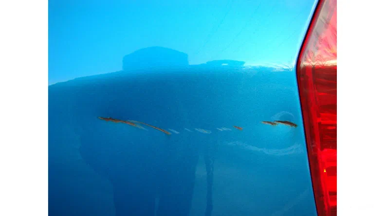 Chevrolet Aveo 2008 - 13