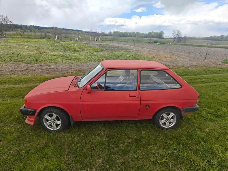 Ford Fiesta 1987 - 3