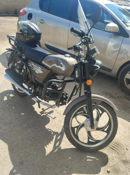 Alpina Sherpa 2019 - 2