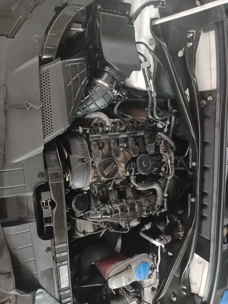 Audi Q5 2010 - 11