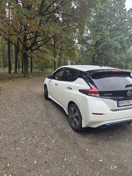 Nissan Leaf 2019