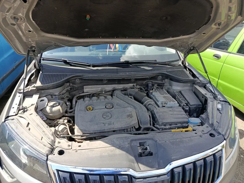 Skoda Karoq 2018 - 10