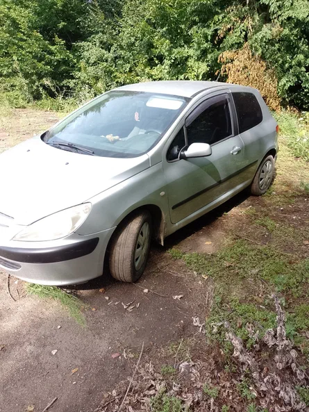 Peugeot 307 2004 - 1