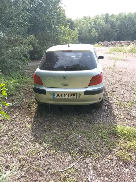 Peugeot 307 2004 - 2