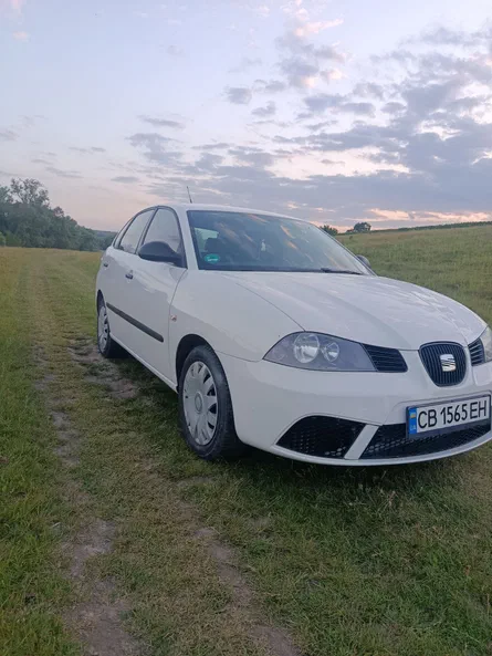 SEAT Ibiza 2009 - 1