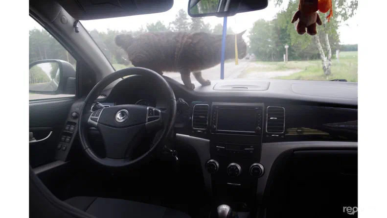 SsangYong Korando 2013 - 6