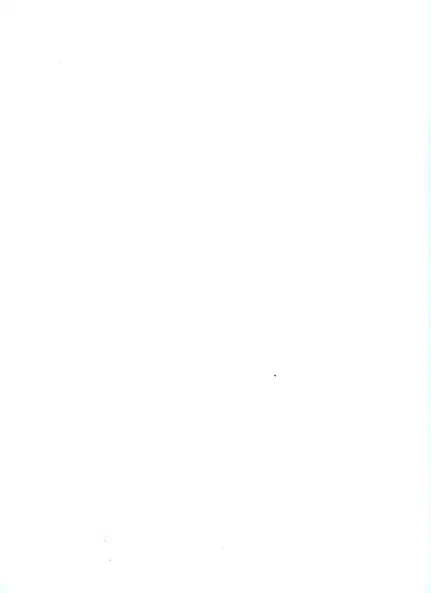 Ford Transit Connect 2005