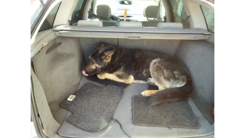 Renault Laguna 2001 - 7