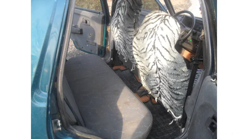 ЗАЗ 1103 «Славута» 2000