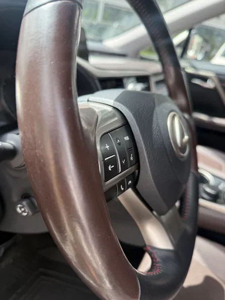 Lexus RX 2019 - 9