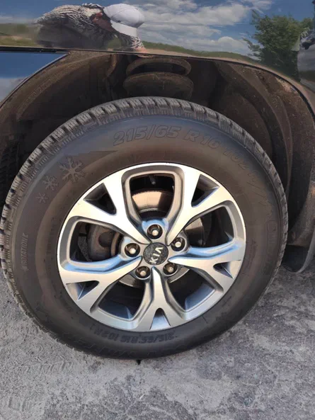 Kia Sportage 2008 - 13
