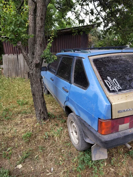 Lada (ВАЗ) 2109 1991 - 3