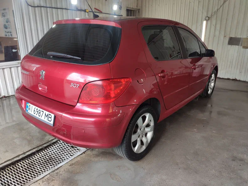 Peugeot 307 2006 - 9
