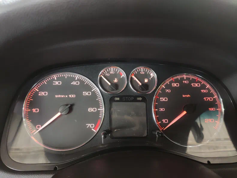 Peugeot 307 2006 - 15