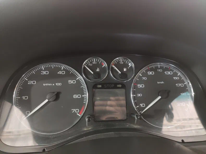 Peugeot 307 2006 - 16