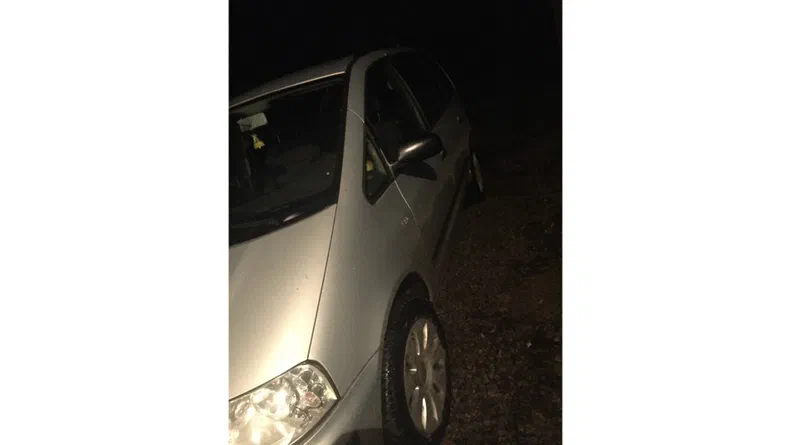 Volkswagen Sharan 2005