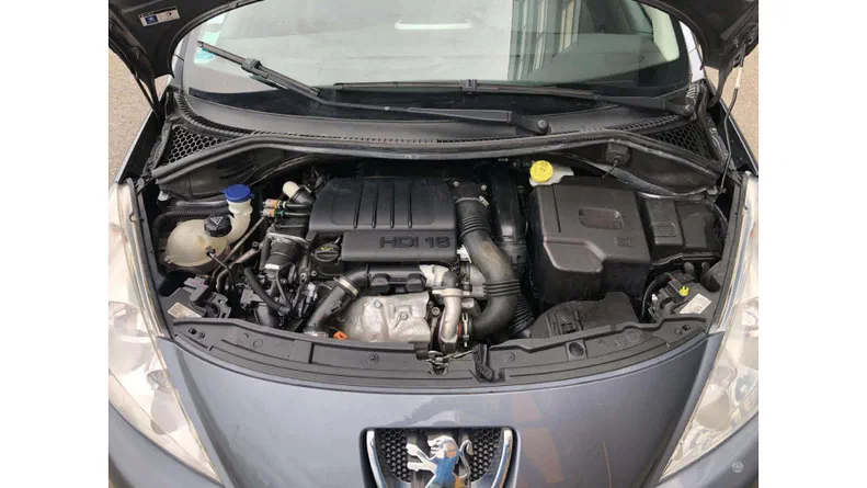 Peugeot 207 2010 - 12