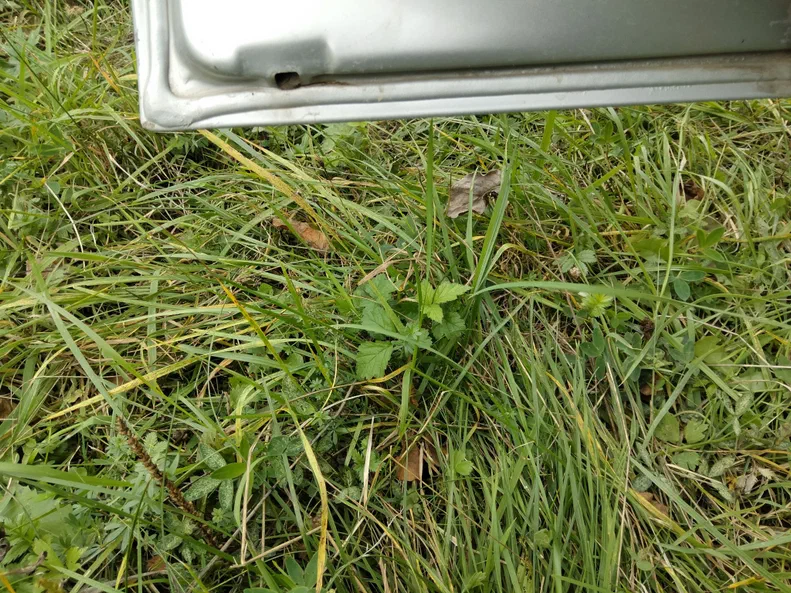 Ford Focus 2003 - 21